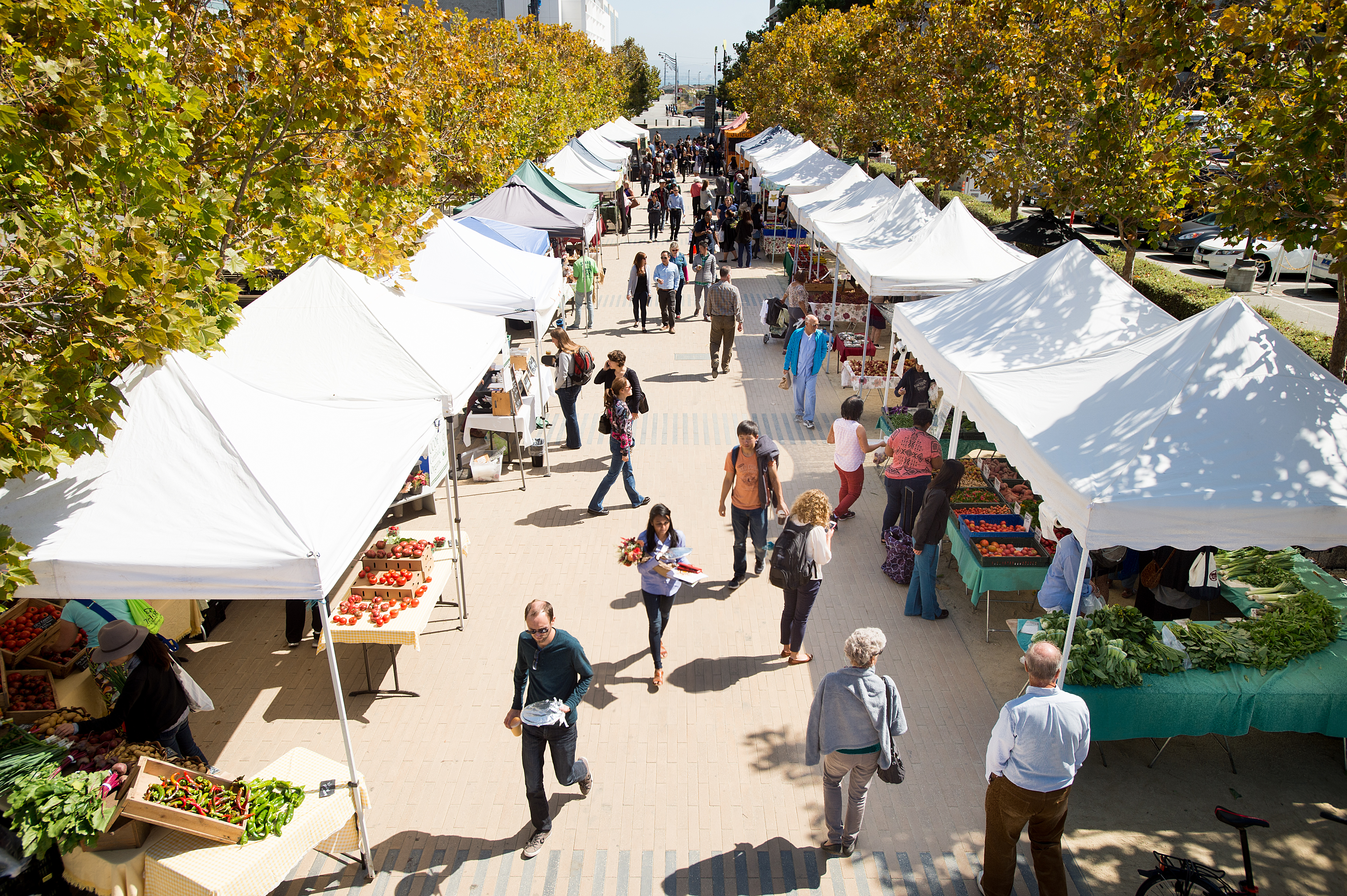 Farmer Market 